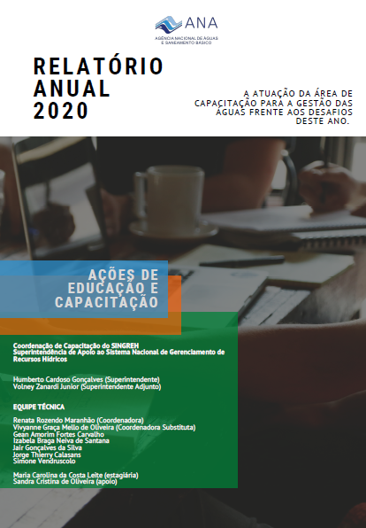 Capa Relatorio CCAPS 2020